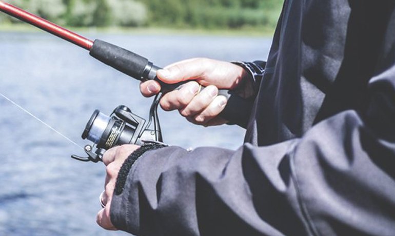 DB Expert - maloprodajni dućan sa web shop-om